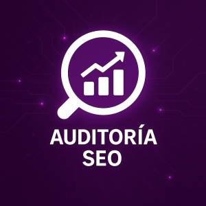Auditoría SEO Express (48h)