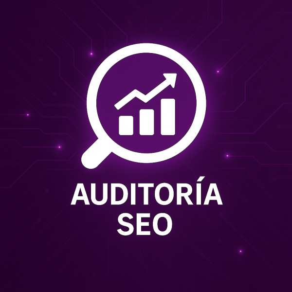 Auditoría SEO Express (48h)